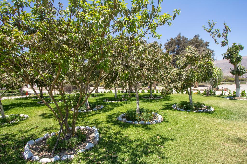 Hotel Fundo San Rafael Nazca Ngoại thất bức ảnh
