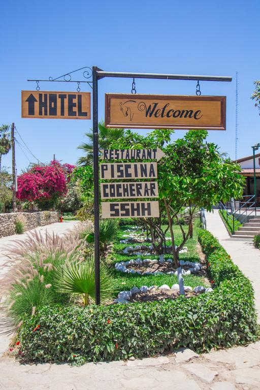 Hotel Fundo San Rafael Nazca Ngoại thất bức ảnh