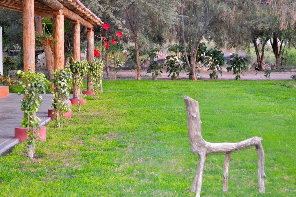 Hotel Fundo San Rafael Nazca Ngoại thất bức ảnh